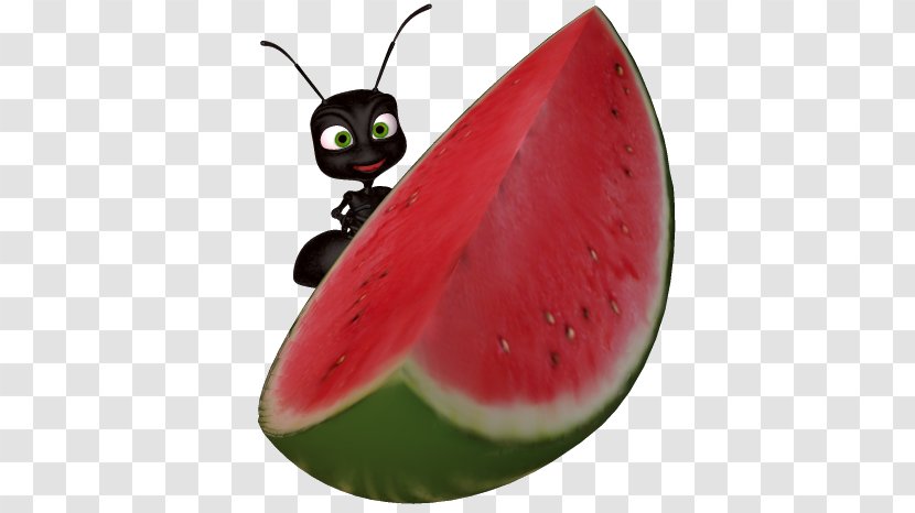 Watermelon Clip Art - Food - Image Transparent PNG