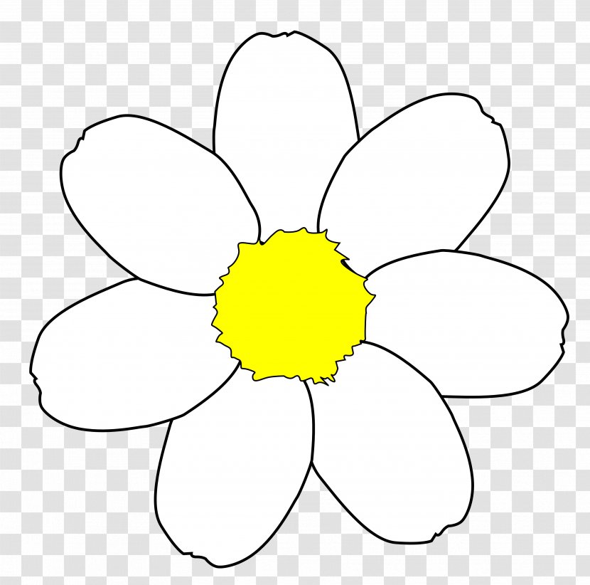 Common Daisy Free Content Clip Art - Flower - Clipart Transparent PNG