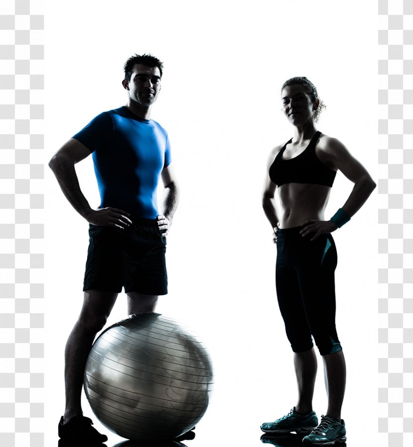 Personal Trainer Fitness Centre Physical Exercise Training - Weights - Physiology Transparent PNG