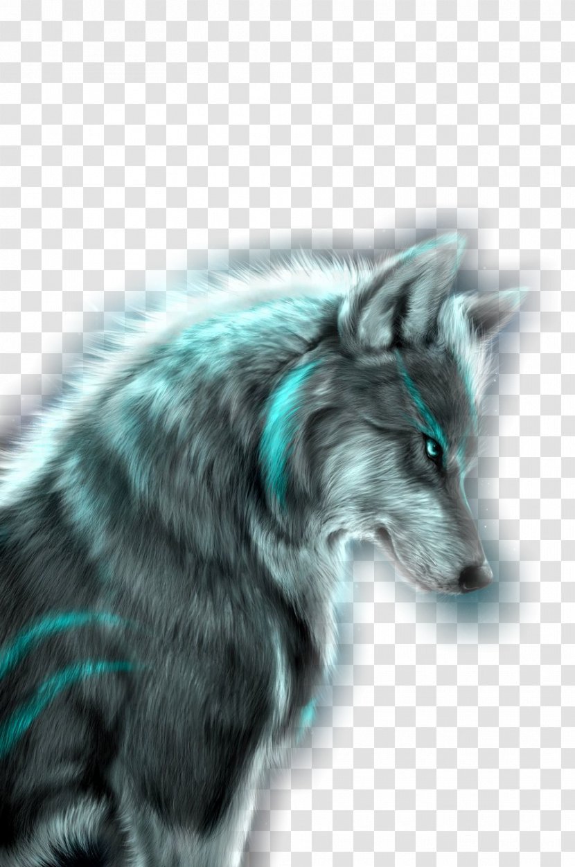 Wolf Zedge Desktop Wallpaper Ringtone Art - Animal Transparent PNG
