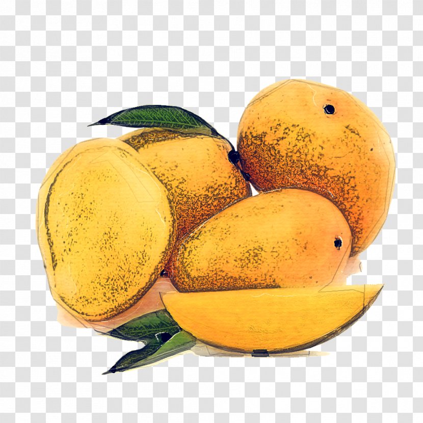 Lemon - Mangifera - Plant Transparent PNG