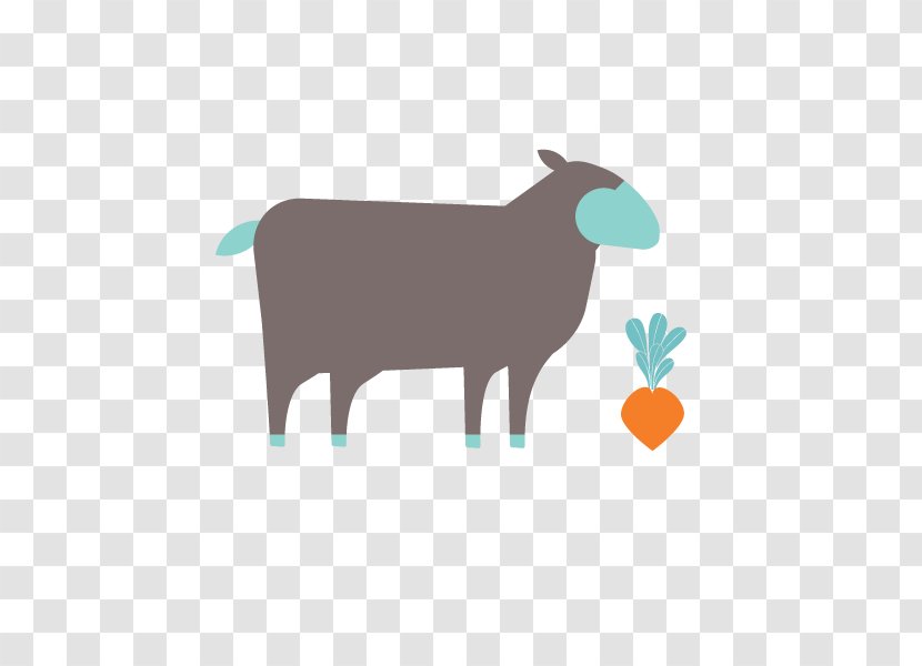 Cattle Dorper Katahdin Sheep Farm Pig - Cartoon Transparent PNG