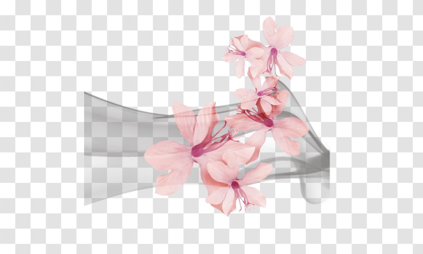 Apricot Plum Blossom - Dried - Water Elemental Transparent PNG