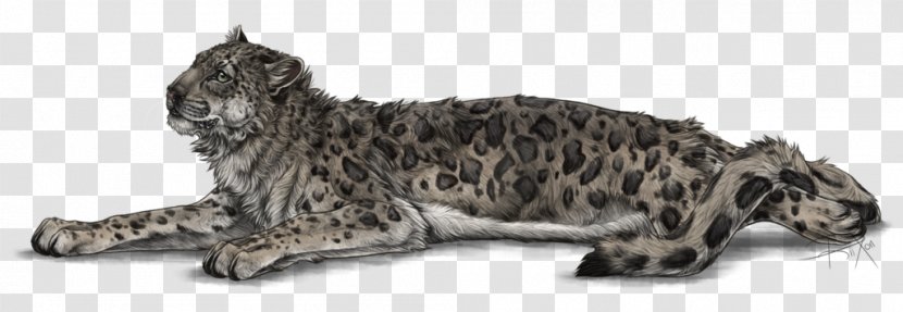 Whiskers Cat Snow Leopard Dog - Animal - Snowleopard Transparent PNG