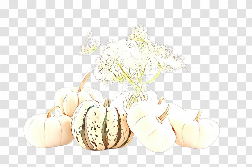 Food Plant Garlic Vegetable Elephant Transparent PNG