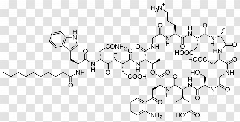 Daptomycin Antimicrobial Peptides Lipopeptide Antibiotics - Structurebased Drug Discovery Transparent PNG
