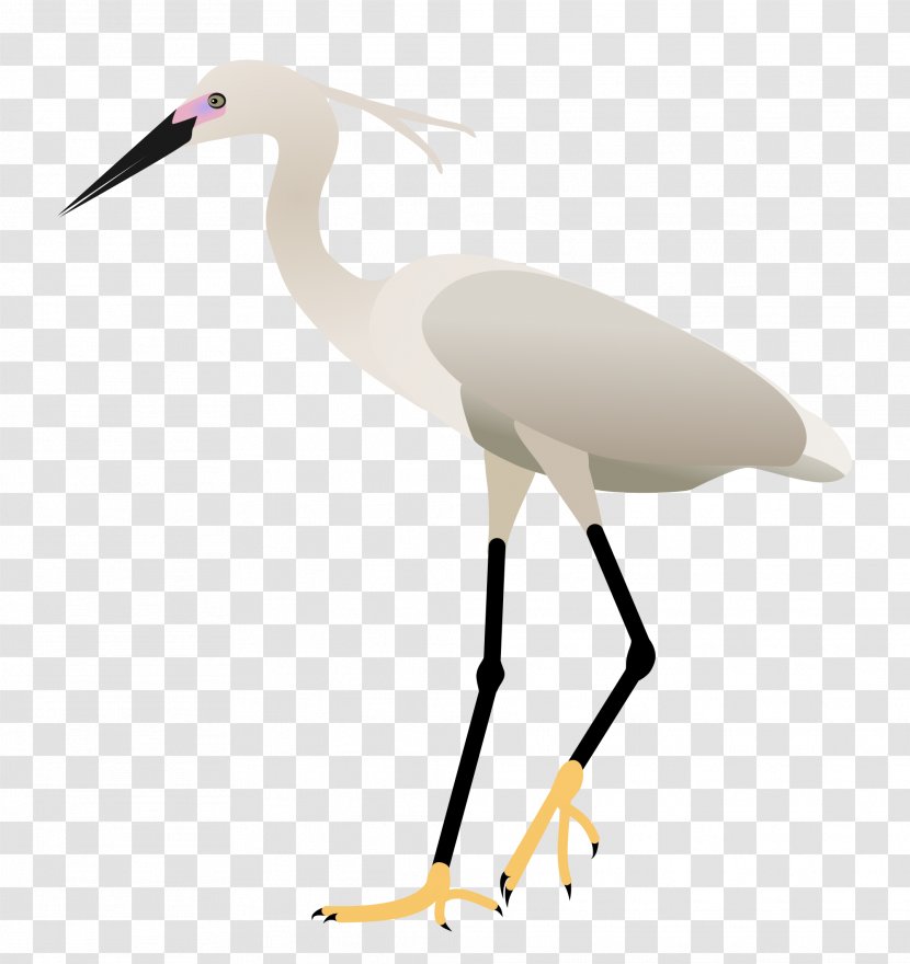 Bird Egret Pelican White Stork Crane Transparent PNG