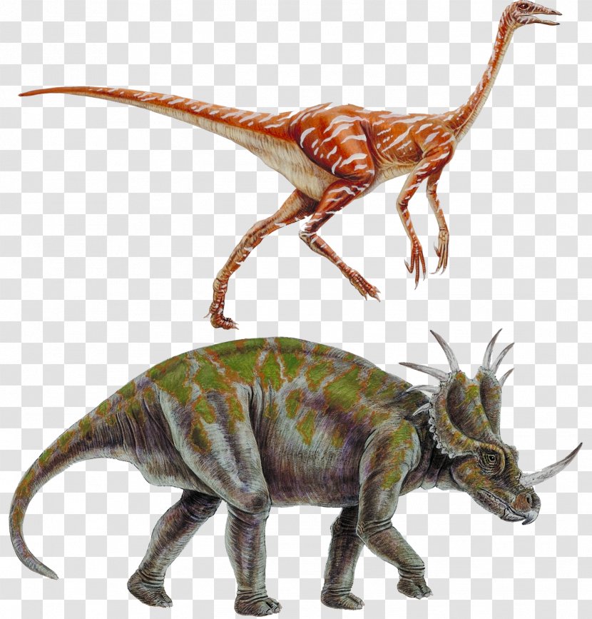 Styracosaurus Tyrannosaurus Ornithomimus Dinosaur Ceratopsia - Ceratopsidae - Cretaceous Transparent PNG