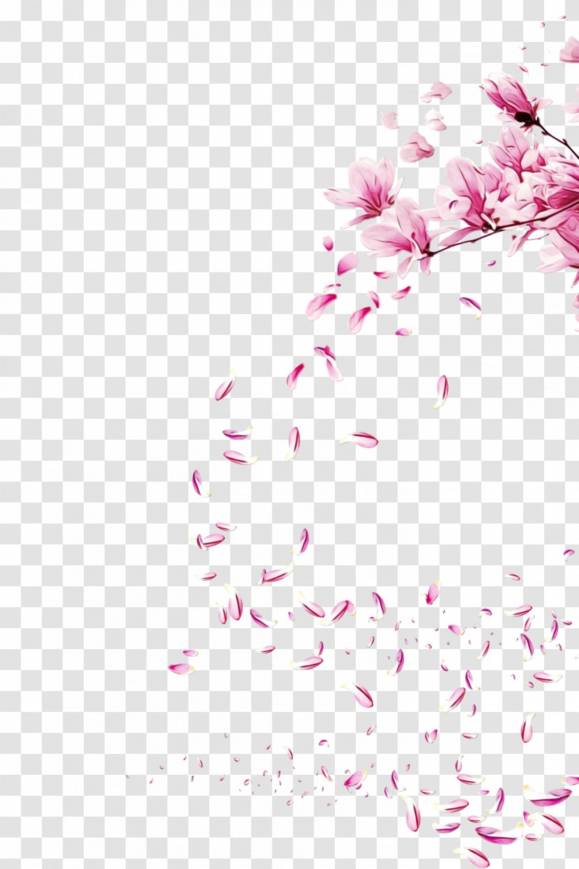Cherry Blossom Cartoon - Wildflower Petal Transparent PNG
