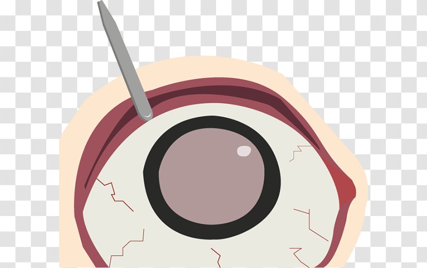 Cheek Eyebrow Forehead - Flower - Eye Transparent PNG