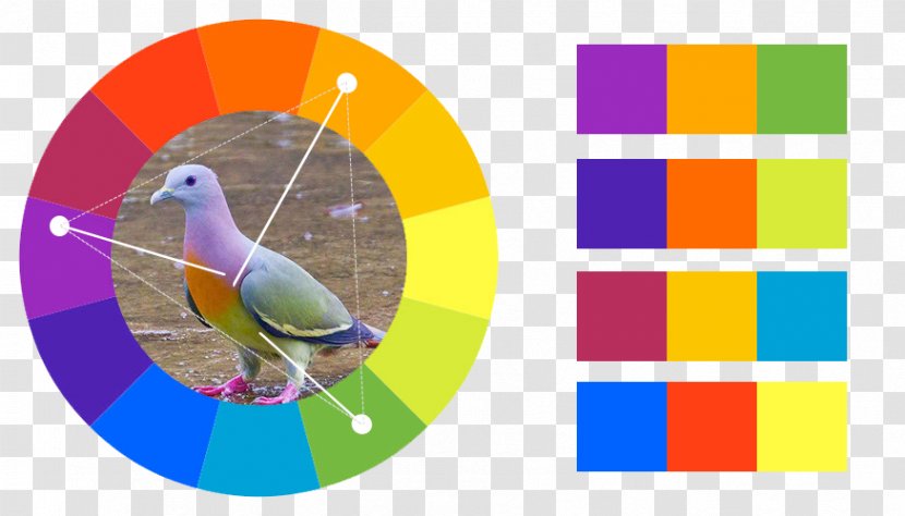 Analogous Colors Color Scheme Theory Graphic Design - Decorative Arts - Japanese Bedroom Ideas Transparent PNG