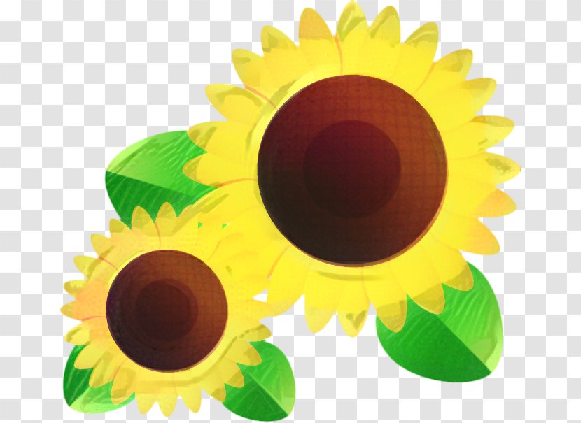 Sunflower Cartoon - Plant Flower Transparent PNG