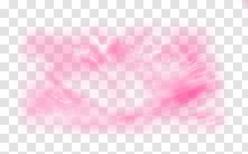 Desktop Wallpaper Close-up Pink M Computer Sky Plc - Closeup Transparent PNG