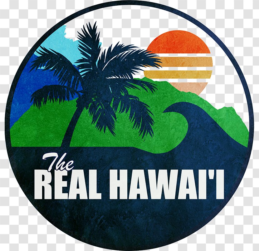 The Real Hawaii Surf Bus - North Shore - Activities Tour Tours Lighting For Education Circle Island TourHawaii Transparent PNG