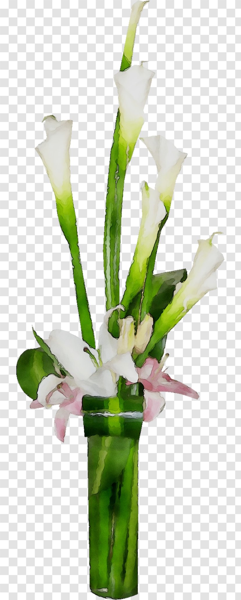 Floral Design Vase Cut Flowers Flower Bouquet - Gladiolus Transparent PNG