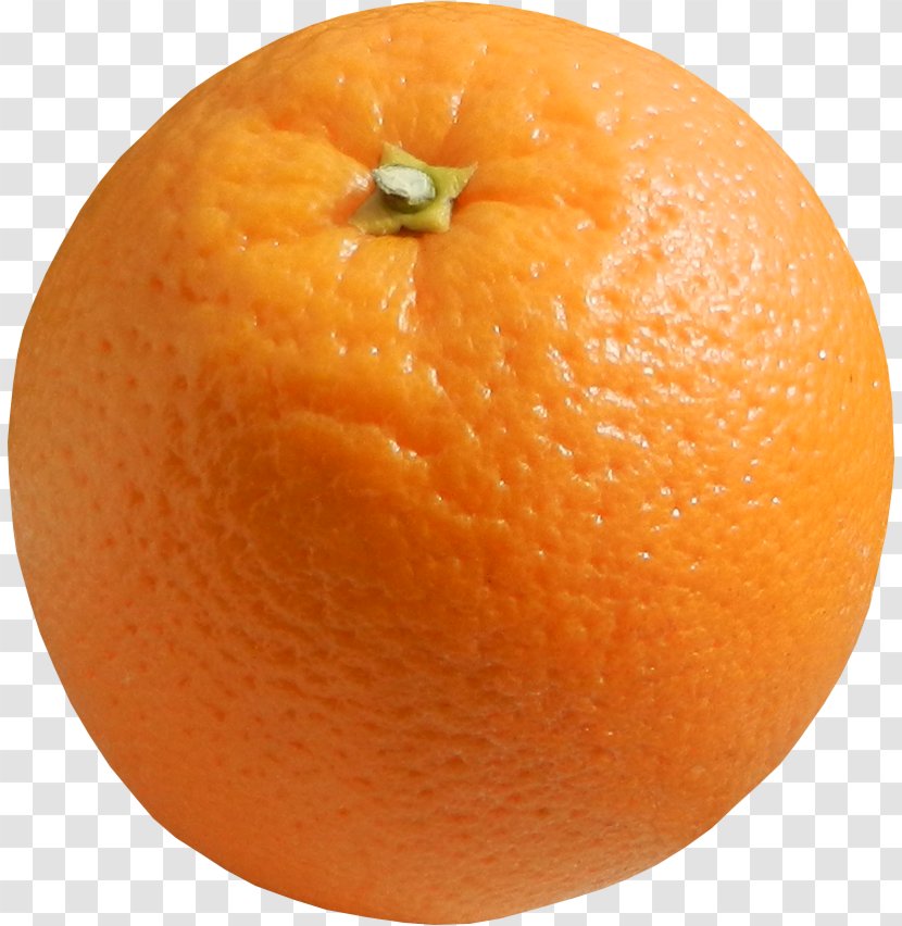 Blood Orange Clementine Tangelo Juice Tangerine - Bitter Transparent PNG