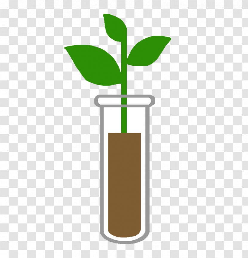 Biotechnology Clip Art - Plant Stem - Bean Sprout Transparent PNG