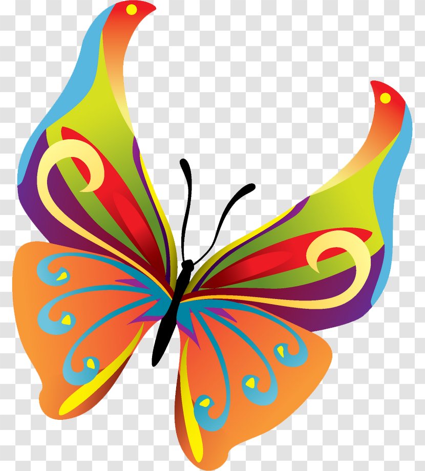 Butterfly Insect Clip Art Transparent PNG