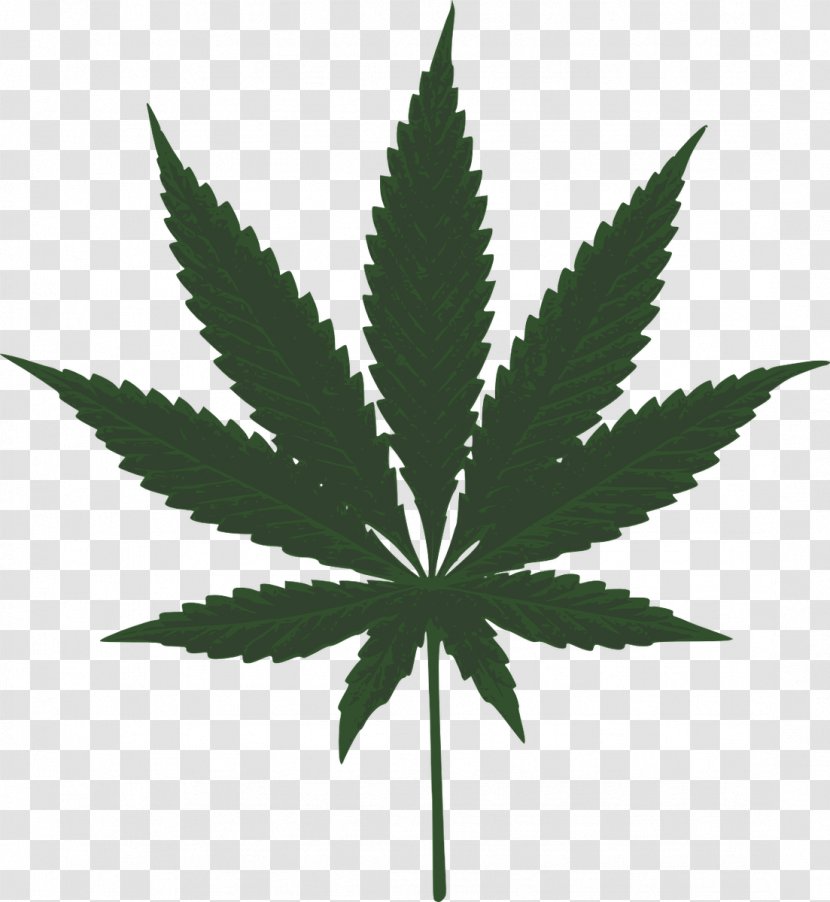 Hash, Marihuana & Hemp Museum Medical Cannabis Leaf Clip Art - Tetrahydrocannabinol - Pot Transparent PNG