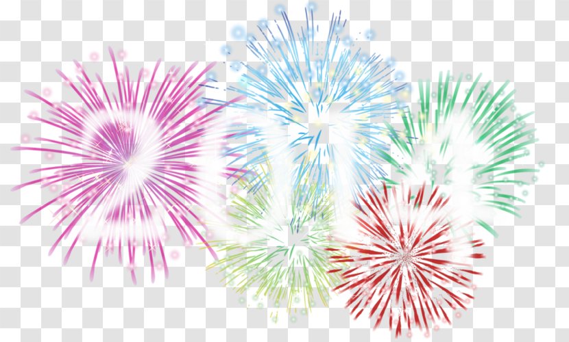 New Year's Eve Fireworks Christmas Fond Blanc - Spend Flowers On Day Transparent PNG