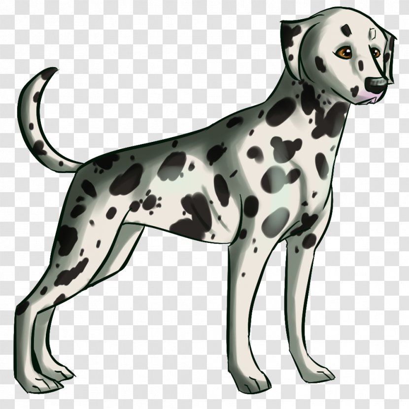Dalmatian Dog Breed Companion Non-sporting Group Paw - Like Mammal - Dalmatians Transparent PNG