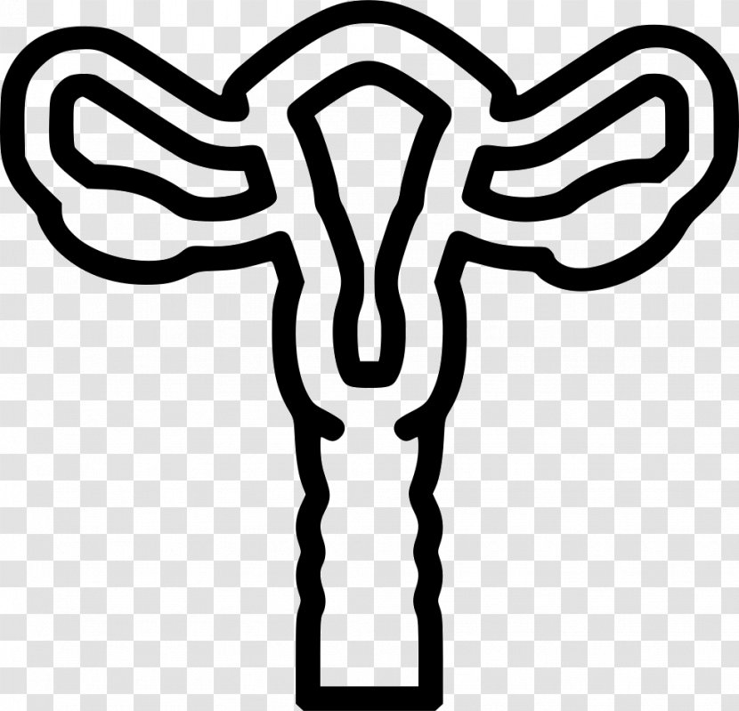 Uterus Gynaecology Reproductive System Ovary Fallopian Tube - Cartoon - Icon Transparent PNG