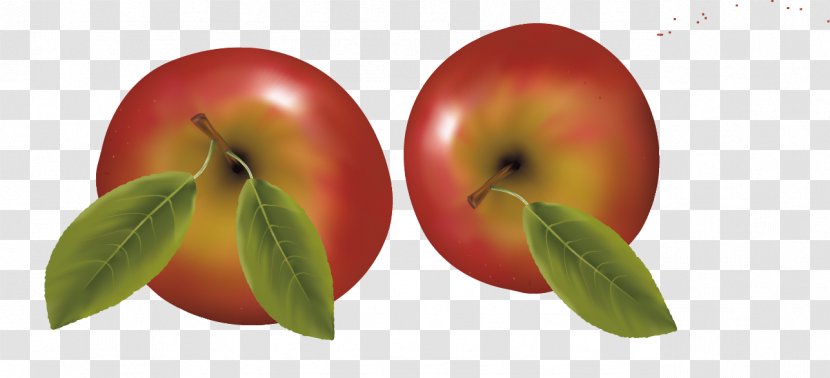 Apple Fuji Food - Superfood - Two Apples Fruit Transparent PNG