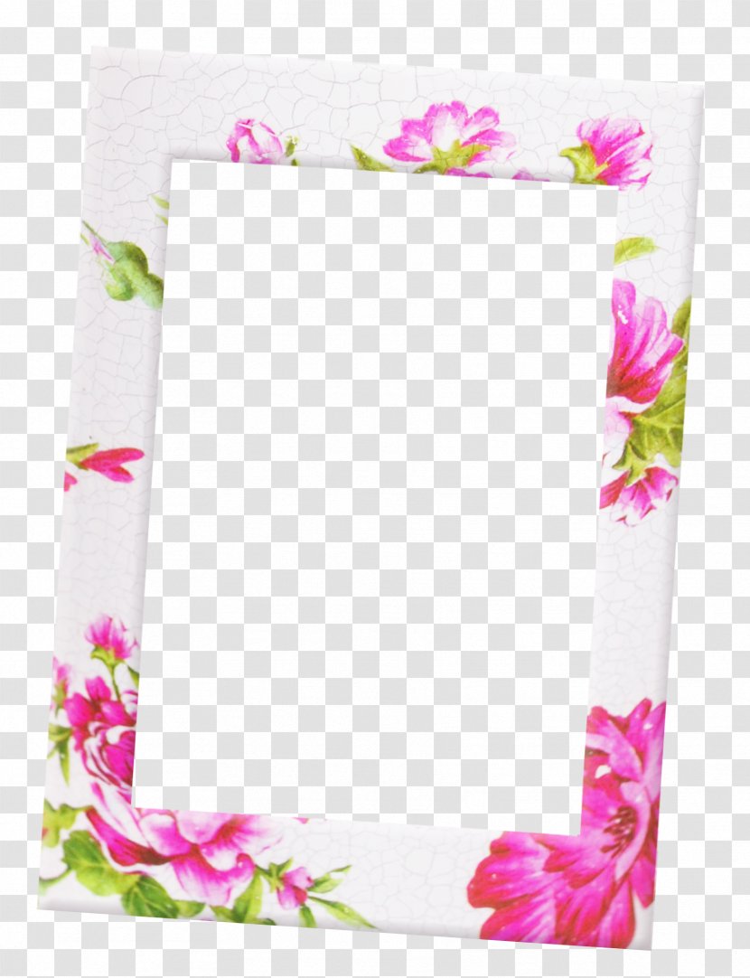 Pink Beach Rose White - Rectangle - Berry Frame Transparent PNG