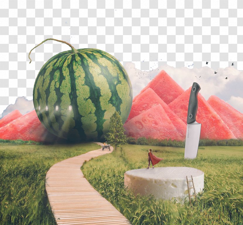 Watermelon Food Designer Advertising - Creative Pattern Transparent PNG