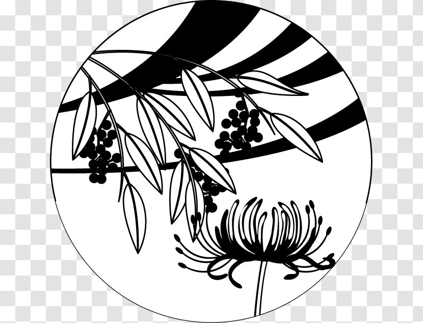 Black And White Visual Arts Coloring Book Clip Art - Spider Lily Transparent PNG