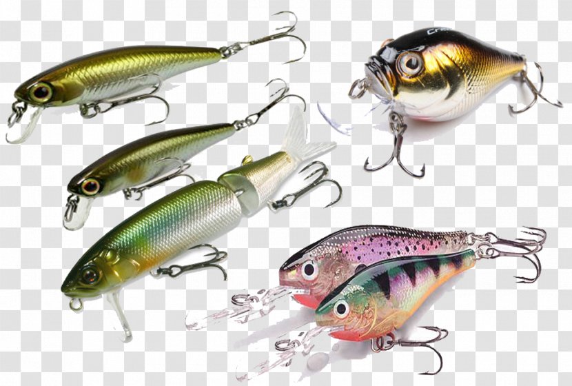 Plug Fishing Tackle Angling Online Shopping - Lure Transparent PNG
