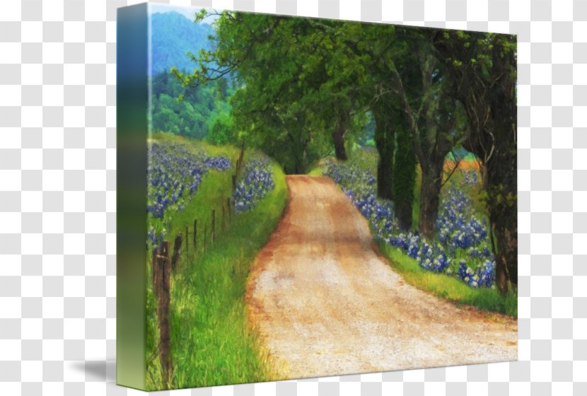 Watercolor Painting Gallery Wrap Canvas Nature Story - Paint Transparent PNG