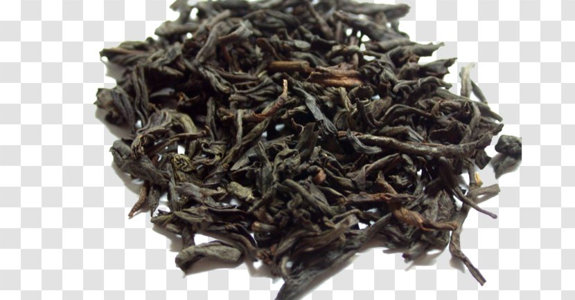 Lapsang Souchong Tea Leaf Grading Oolong Earl Grey - Tieguanyin Transparent PNG