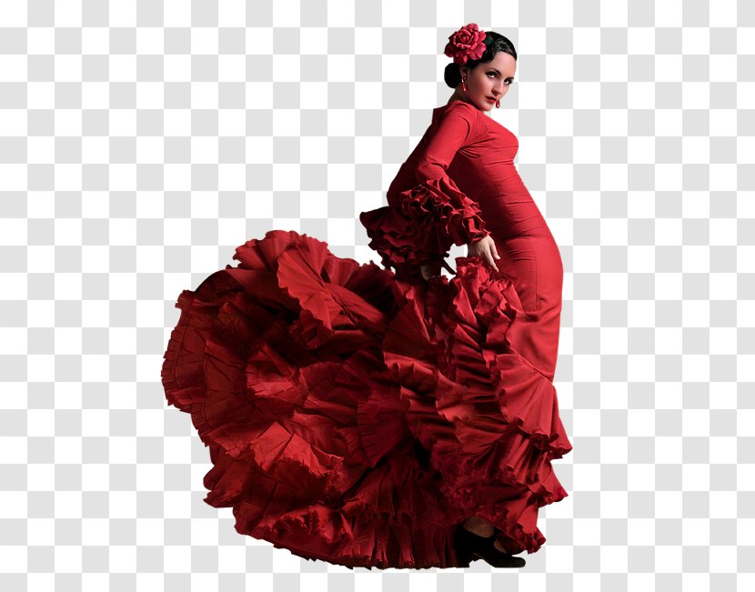 Flamenco Dance Traje De Flamenca Dress Clothing - Flower Transparent PNG