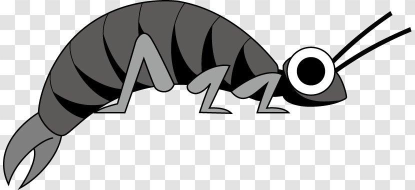Mammal Logo Car Product Design Black - And White - Earwigs Insect Transparent PNG