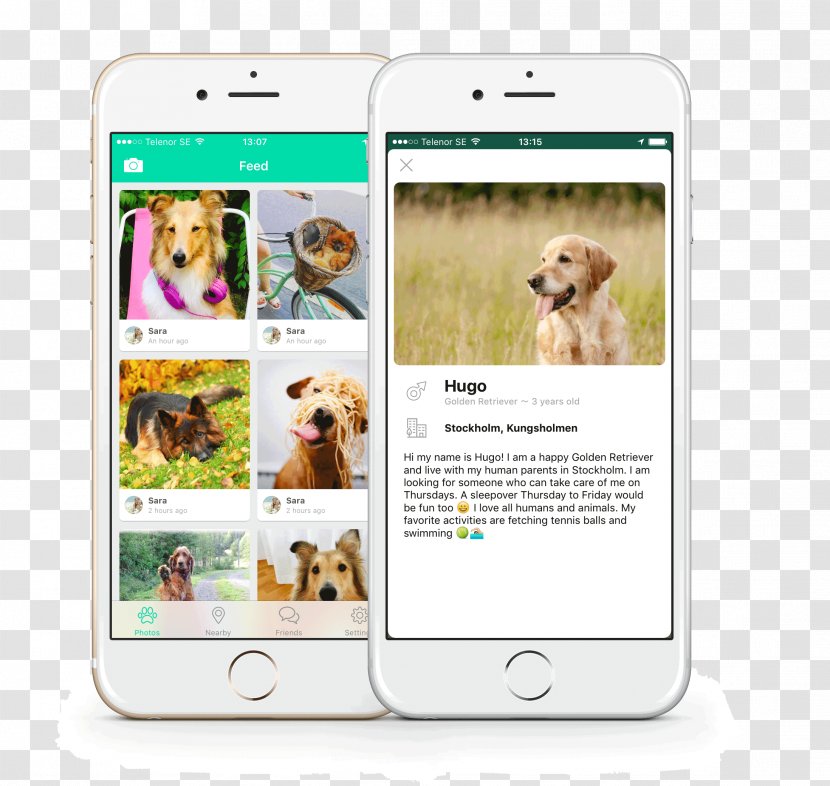 Smartphone Dog Breed Multimedia - Gadget Transparent PNG