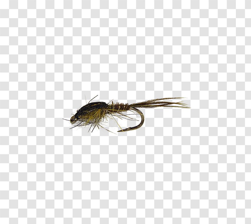 Insect Artificial Fly - Tying Transparent PNG