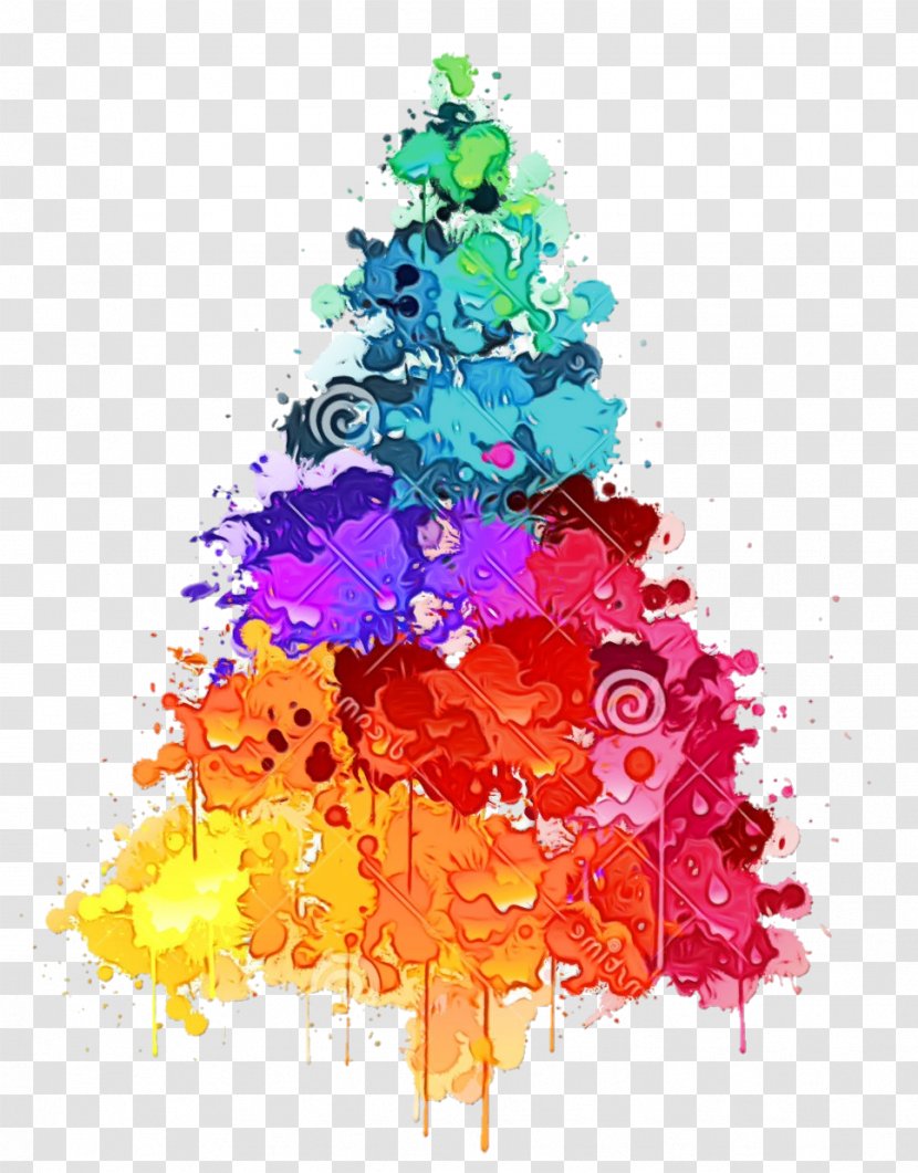 Christmas Tree - Watercolor - Pine Family Decoration Transparent PNG