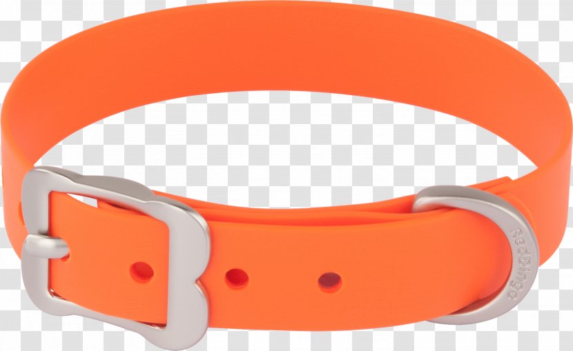Red Dingo Dog Collar Vivid PVC Cat - Orange - Belt Purse Transparent PNG