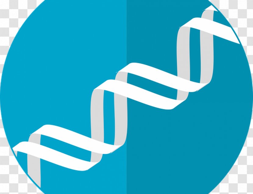 Genetics Gene Therapy Genetic Testing Transparent PNG