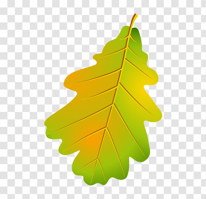Leaf Design Illustration Autumn Vector Graphics - Tree Transparent PNG