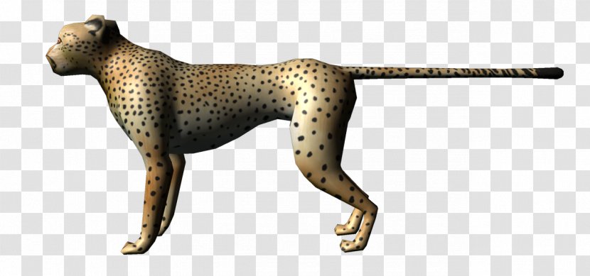 Cheetah Animation Cat Lion - Mammal Transparent PNG