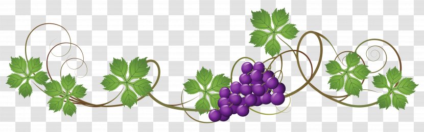Grapevines Grape Leaves Clip Art - Plant - Vine Cliparts Transparent Transparent PNG