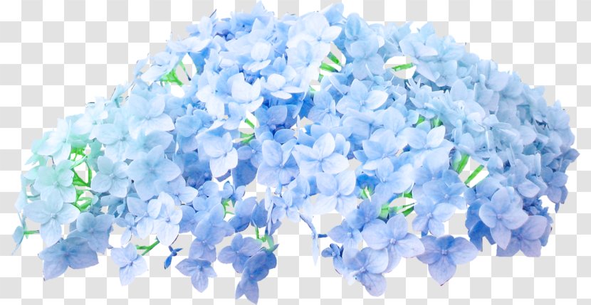 Blue Color Flower Clip Art - Frise Transparent PNG