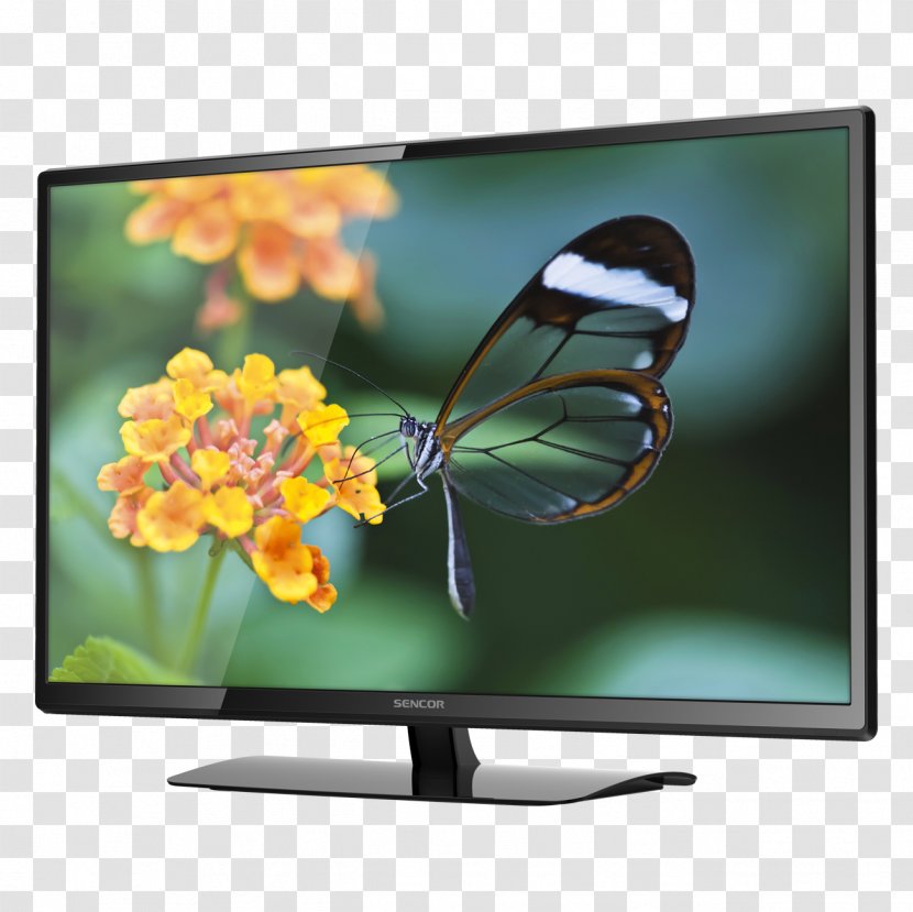 LED-backlit LCD HD Ready USB Light-emitting Diode Display Resolution - Ledbacklit Lcd - Tv Transparent PNG