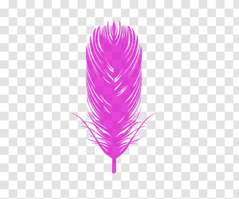 Bird Eagle Feather Law Euclidean Vector - Purple - Colored Feathers Transparent PNG