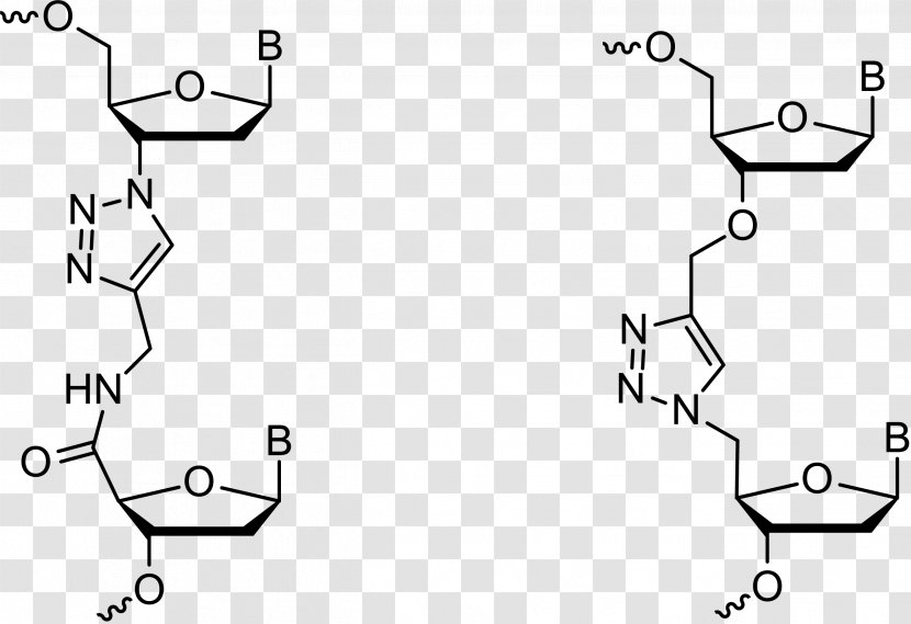 Triazole Click Chemistry Chemical Reaction Oligonucleotide - Structural Analog Transparent PNG