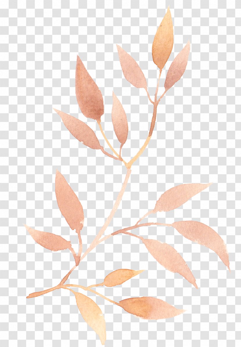 Leaf Drawing Clip Art Branch - Peony Transparent PNG