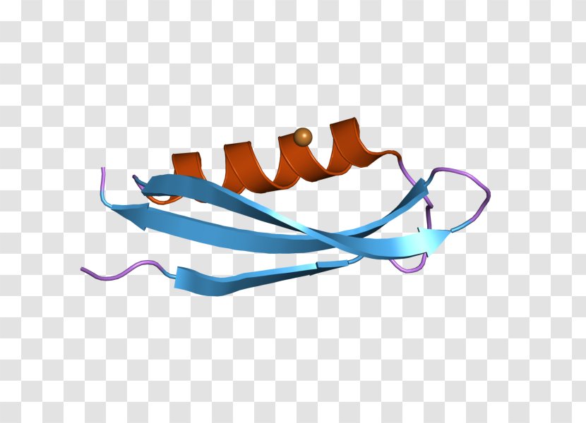 Amyloid Precursor Protein Integral Membrane Synapse - Frame Transparent PNG