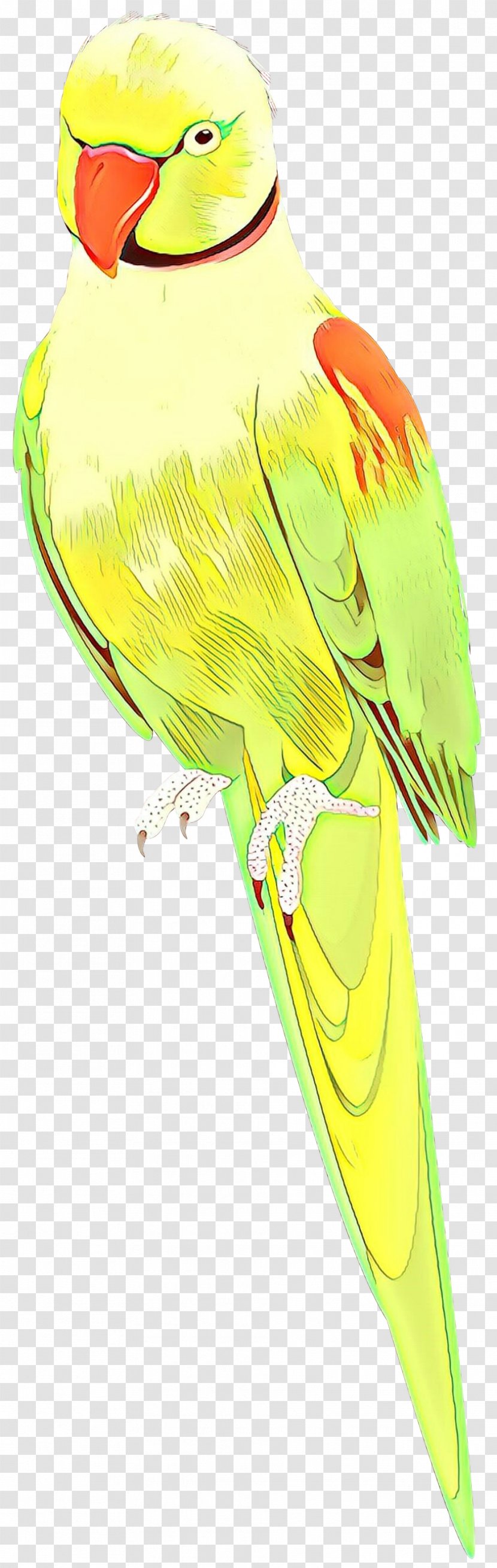 Yellow Clip Art Wing Transparent PNG